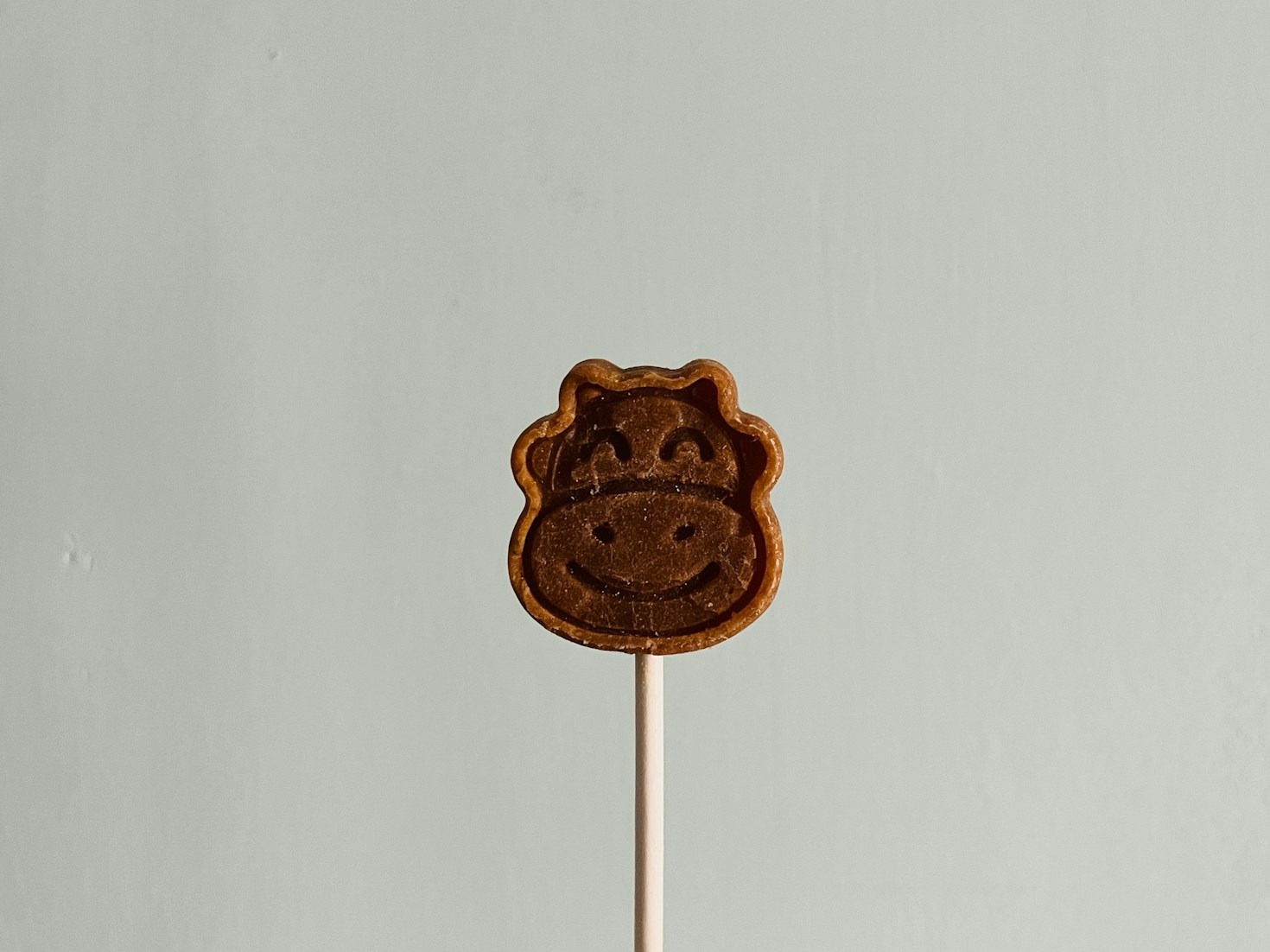 The Ultimate Guide to Holiday Cookie Baking